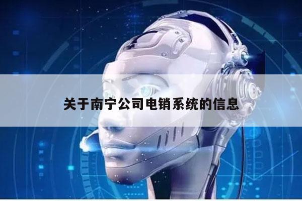 关于南宁公司电销系统的信息