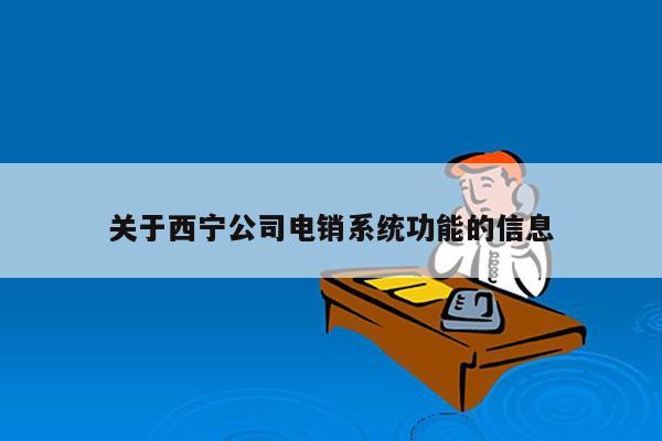 关于西宁公司电销系统功能的信息